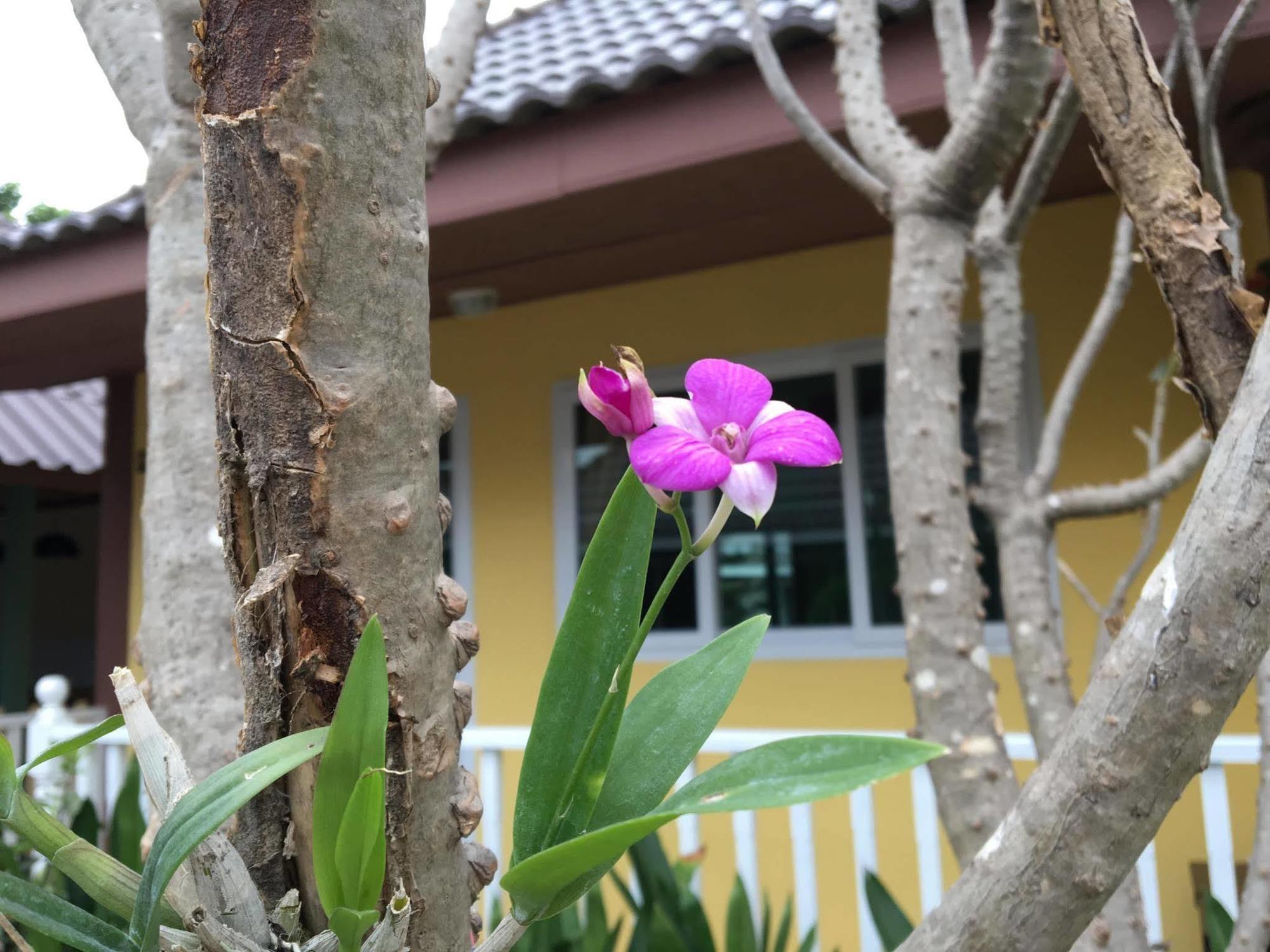 Baan Penny Hotel Phra Nakhon Si Ayutthaya Exterior photo